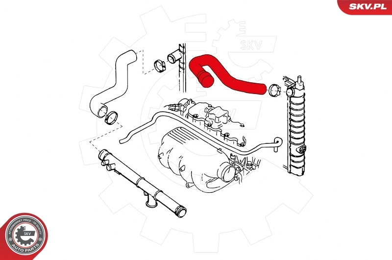 Radiator Hose